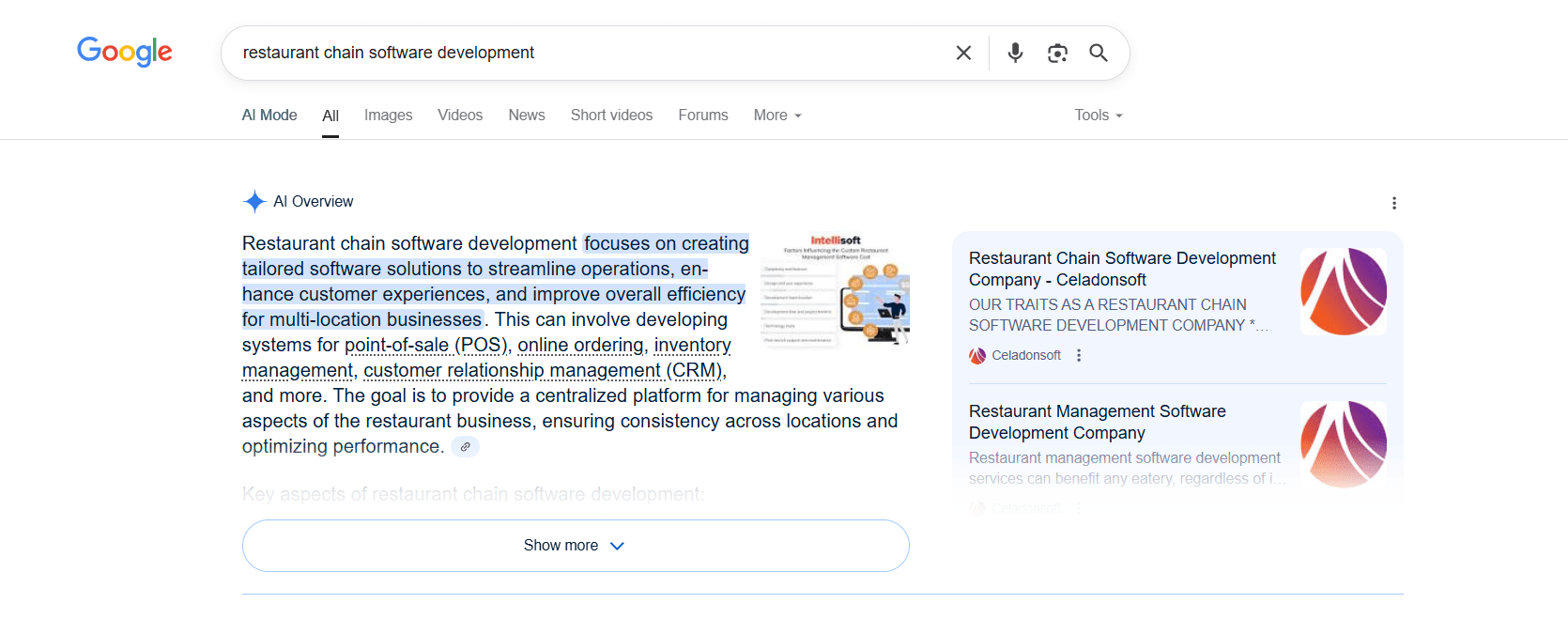 AI Overview result for Celadonsoft